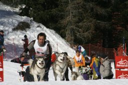 San Bernardino 2008